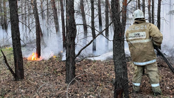 Фотография к новости: Площадь пожара значительно сократилась – Уранхаев
