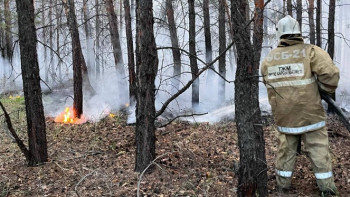 Фотография к новости: Пожар в области Абай: площадь достигла порядка 60 тысяч гектаров