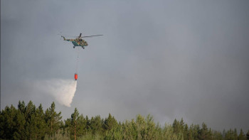 Фотография к новости: О состоянии фауны при лесном пожаре в области Абай сообщили в Минэкологии