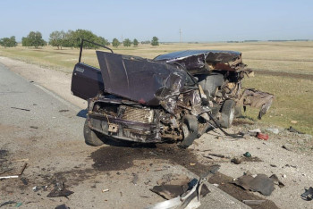 Фотография к новости: Пять человек погибли в страшном ДТП в СКО