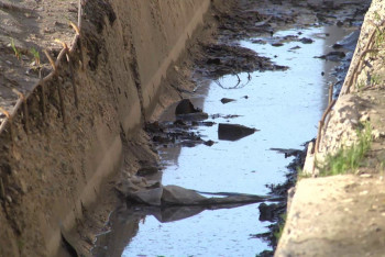 Фотография к новости: Уникальную арычную систему Шымкента нужно срочно восстанавливать – ученый