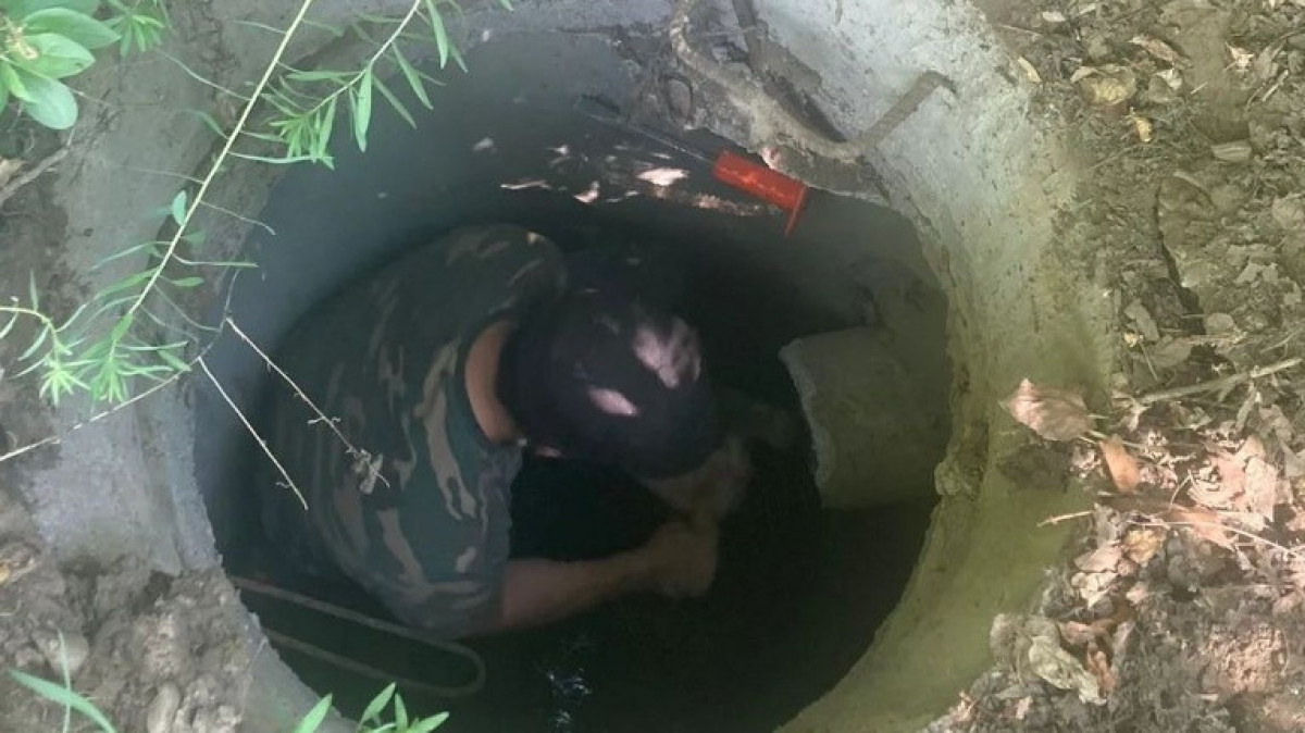  instagram.com/shygysqaz_tjd