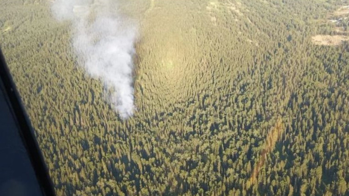  nstagram.com/shygysqaz_tjd