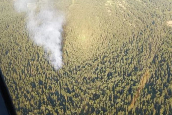 Фотография к новости: Лесной пожар тушат в заповеднике и нацпарке ВКО