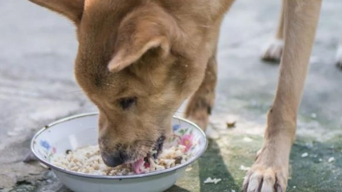  instagram vd_stopotlov