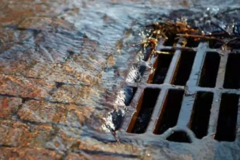 Фотография к новости: Кровь и биоматериалы сливали в канализацию скотобойни в Шымкенте