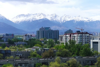 Фотография к новости: Новые правила посадки деревьев приняли в Алматы