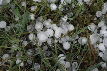 Фотография к новости: В Астане 27 июня обещают грозу и град