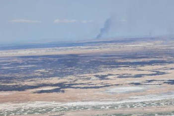 Фотография к новости: Площадь пожара в Иле-Балхашском резервате удалось значительно уменьшить