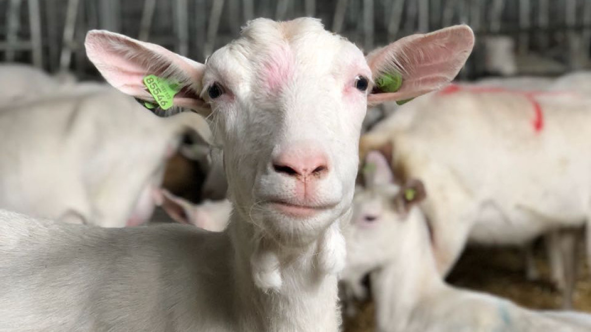  instagram.com/ph_zerenda