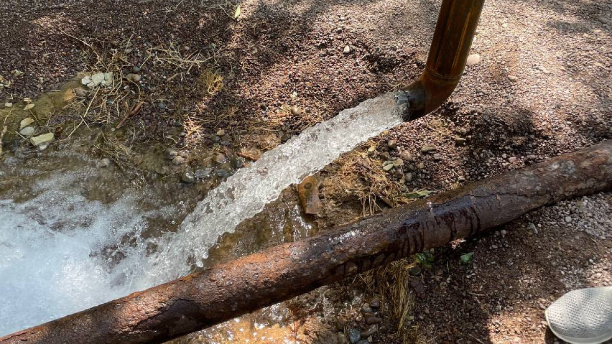  Анастасия Новикова