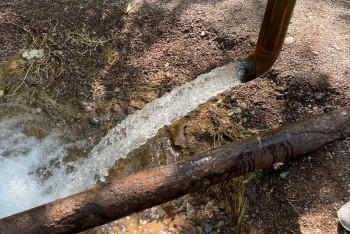 Фотография к новости: "В почве ни соли, ни воды нет" - как в дендропарке Шымкента решают проблему с поливом