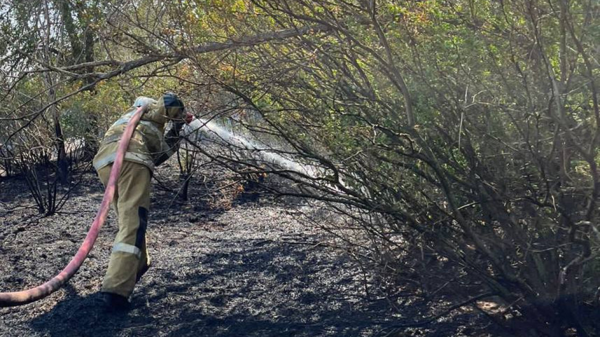  пресс-служба МЧС РК