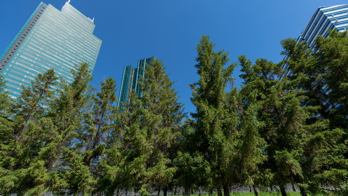  BaigeNews.kz/Артем Чурсинов