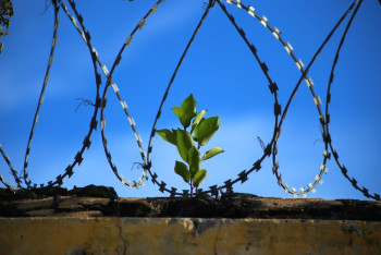 Фотография к новости: Как будут выплачивать компенсации жертвам массовых политических репрессий в РК