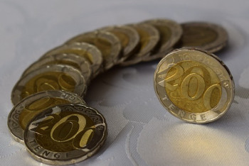 Фотография к новости: Осуждены руководители финансовой пирамиды World Business Consulting