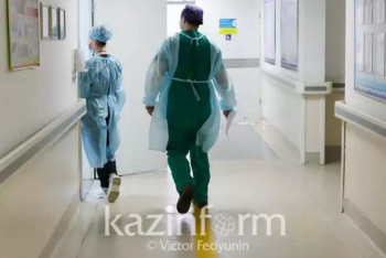 Фотография к новости: Лиса напала на ребёнка в Актюбинской области