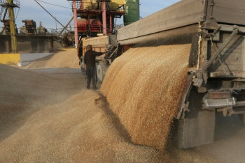 Фотография к новости: "Делают крайними": за провоз "серого" зерна из России отвечать приходится экспортерам