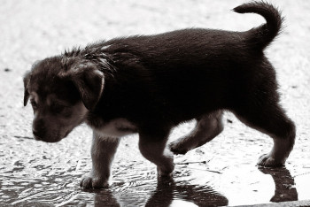Фотография к новости: Неустойчивая погода сохранится в большинстве регионов страны в воскресенье