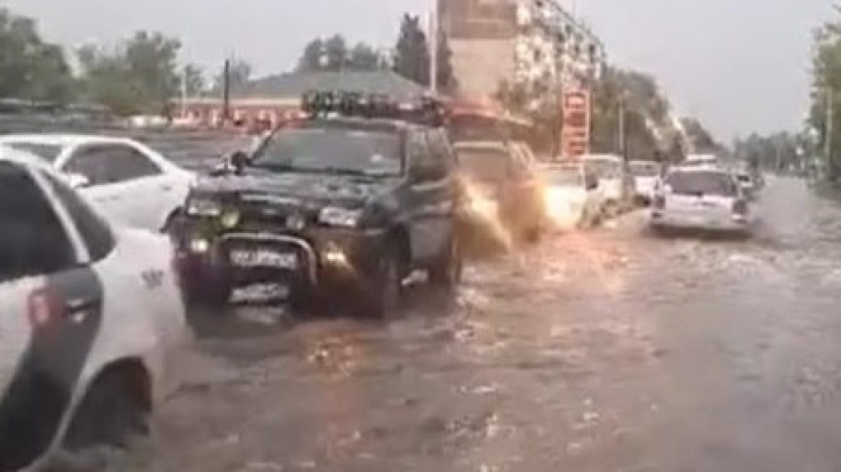  скриншот с видео instagram.com/ti.pavlo