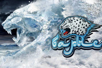 Фотография к новости: Сотни тысяч долларов: стали известны зарплаты легионеров "Барыса"