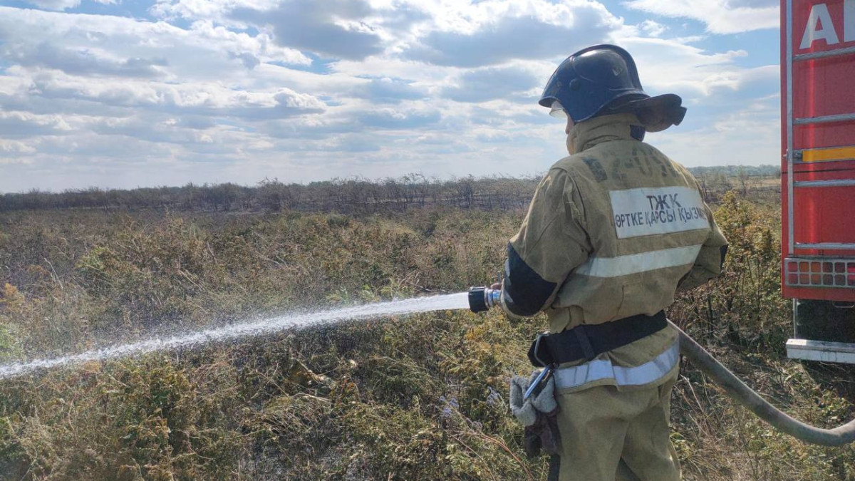  ДЧС области Абай