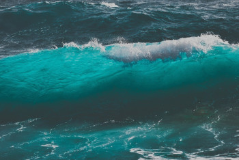 Фотография к новости: Океаны Земли изменили цвет