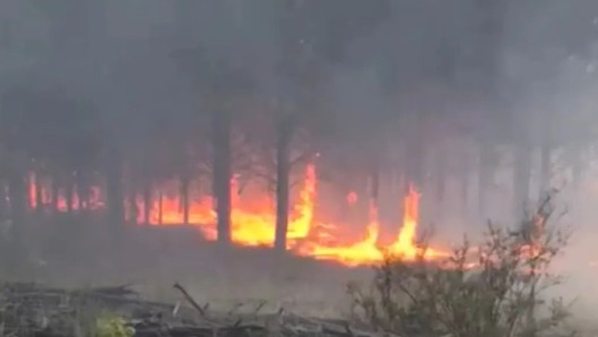  Instagram / ertisormany_2003