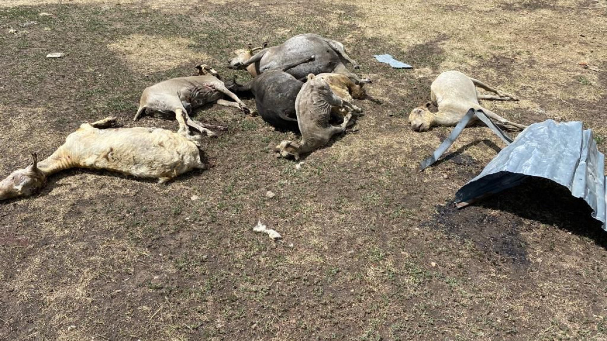  ДЧС Павлодарской области