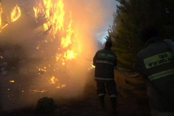 Фотография к новости: Угрожавший перейти на территорию России пожар в "Ертiс орманы" удалось локализовать