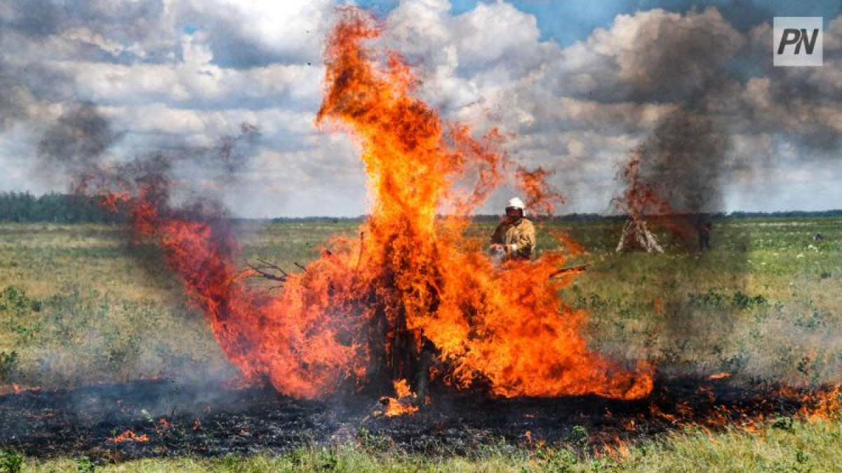  pavlodarnews.kz/Константин Шелков