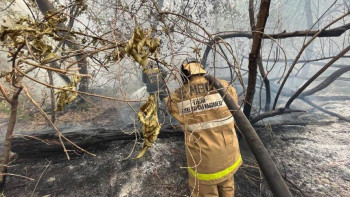 Фотография к новости: В два раза выросла зарплата у работников природоохранных служб