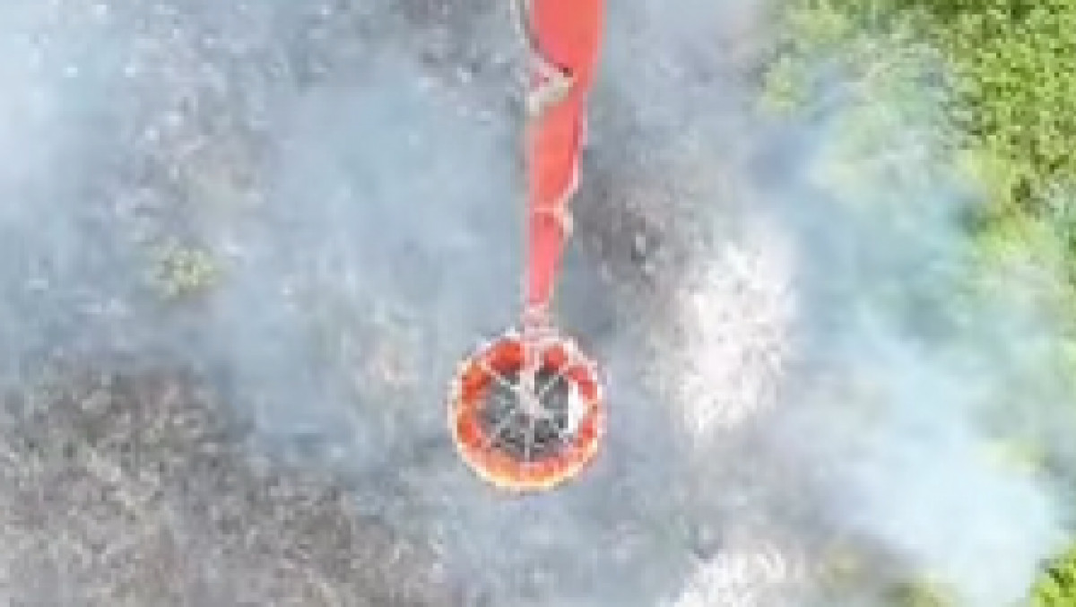  скриншот видео