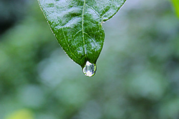 Фотография к новости: Долгожданные дожди придут в Казахстан