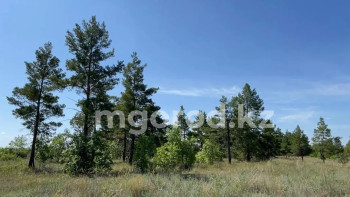 Фотография к новости: Сельчане ЗКО выступили против создания карьеров в лесном массиве