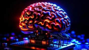 Фотография к новости: Учёные объединят клетки человеческого мозга с искусственным интеллектом