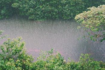 Фотография к новости: Ливни и град: прогноз погоды на ближашие три дня в Казахстане