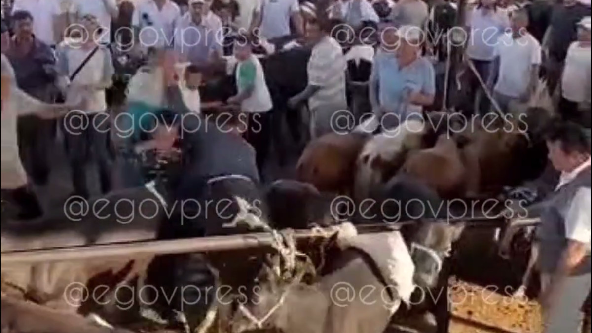  кадр из видео