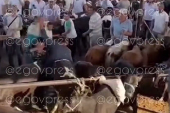 Фотография к новости: Самосуд над вором устроили жители Туркестанской области