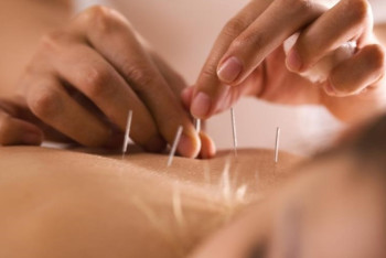 Фотография к новости: Целители и врачи высказались о будущем профстандарте народной медицины