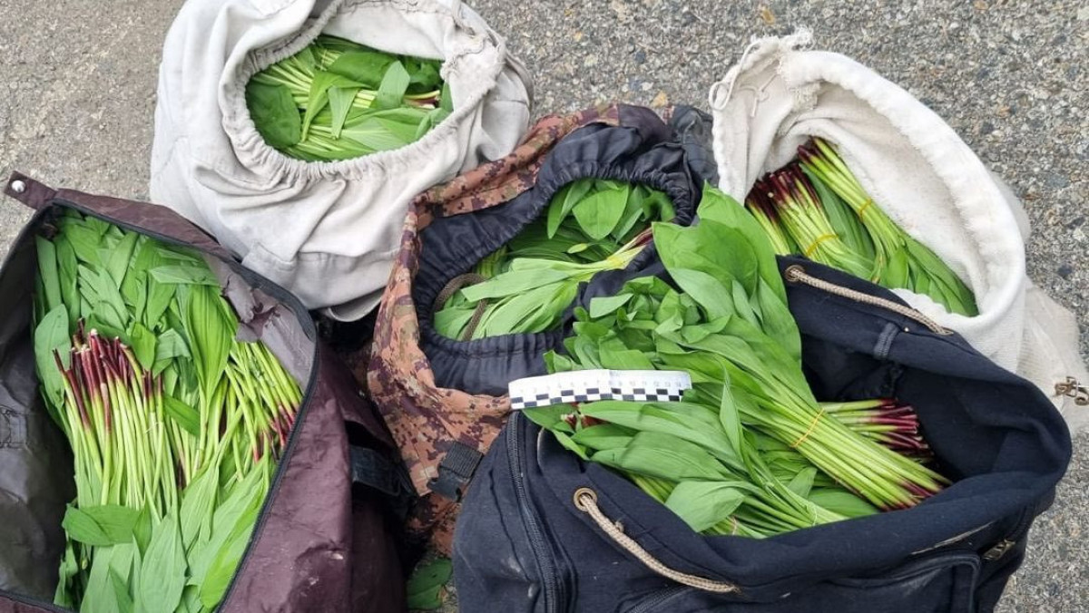  instagram.com/eastkazpolice