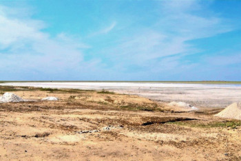 Фотография к новости: Миллиарды тенге зарабатывают на добыче соли из озер в Павлодарской области