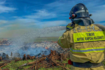 Фотография к новости: Пожар в природном резервате "Иле-Балхаш" заметили из космоса