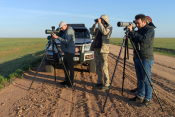 Фотография к новости: Как сельское хозяйство наносит вред флоре и фауне рассказали ученые