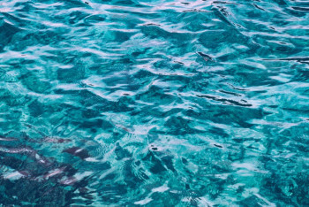 Фотография к новости: Почему посинела Усолка: экологи Павлодара нашли причину