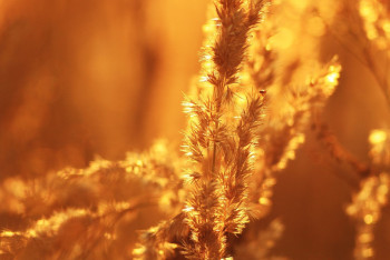 Фотография к новости: Как правильно питаться в жаркую погоду, рассказала диетолог