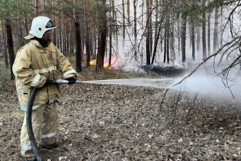 Фотография к новости: Лес вновь горит в резервате "Семей орманы"