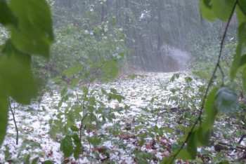 Фотография к новости: Неустойчивая погода сохранится в Казахстане в воскресенье