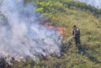 Фотография к новости: Для тушения огня в горах ВКО задействовали пожарный поезд