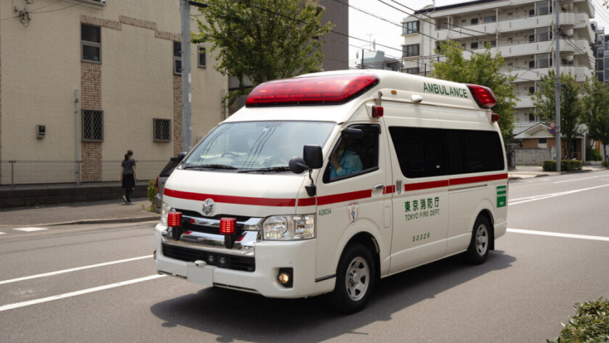  Shutterstock/FOTODOM